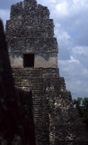 GUATEMALA - TIKAL C.jpg
