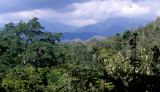 PANAMA - RAINFOREST VIEW A.jpg