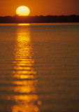 PANTANAL - SUNSET B.jpg