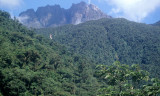 PERU - ANDES - CLOUD FOREST - HEADING TO AMAZONA F.jpg
