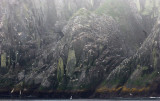 KURIL ISLANDS - VIEW LANDSCAPES AND GEOL - RUSSIA (26).jpg