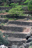 Walls