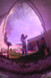 A Bugs-Eye View