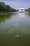 The Mall, Washington DC.