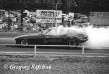 Quarterhorse burnout copy.jpg