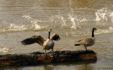 D200-2007-11-19_047.jpg
