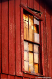 Window Pain