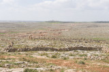 Dead cities from Hama april 2009 8649.jpg