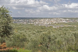 Dead cities from Hama april 2009 8760.jpg