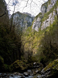 Altas paredes de la garganta