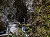 Nos despedimos de la gruta