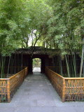 0832-Ningbo.JPG