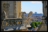 Panorámica desde Notre Dame