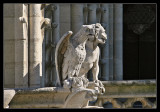Notre Dame