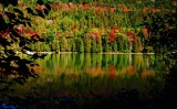Bubble Pond Reflections