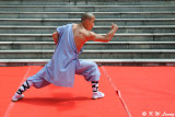 Shaolin Kung Ku Show (DSC_2526)