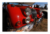 Various Automobile 2009 31