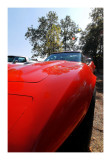 Various Automobile 2009 66