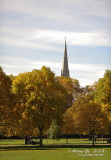 Kensington D700_05386 copy.jpg