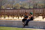 Robert Mondavi Winery DSCb_03338 copy.jpg