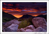 Alluvial Fan Sunrise 4730.jpg