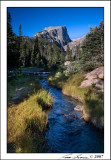 Dream Lake Effluent 3596.jpg