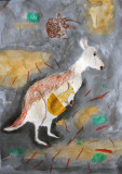 kangaroo, Celina, age:7.5