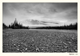 20090520_Jasper_0079.jpg
