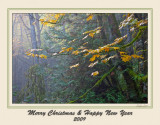 20091017_Victoria_0219 Xmas.jpg