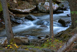 Middle Fork - Tensleep River, Wyoming