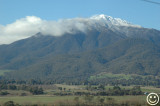 DSC_2325 Mt. Bogong Vic.jpg