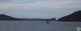 photos 869 West Head Lion Island Barrenjoey Head Pittwater NSW.jpg