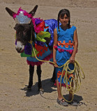 Jalpa Burro Festival One