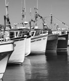 P1070930-1 Îles de la Madeleine - Québec