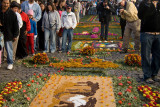 Alfombra watching is great fun