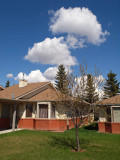 P5100170.jpg