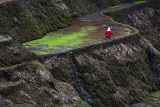 ArnelMurillo-APMCANON-3799-84.jpg