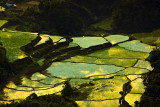 ArnelMurillo-APMCANON-4235-134.jpg