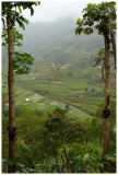 JunUy-IMG_6818.jpg