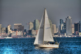 sailboat on san diego bay