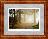 misty-lane-original-image1-edits-web framed 2.jpg