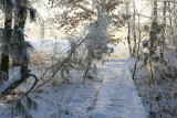 liereman-2009-01-09_051.jpg