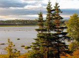 la baie à marée basse