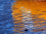 reflet du canot