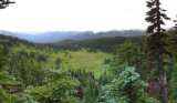 Snowgrass Flat Panorama