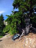 Cispus Pass 2008