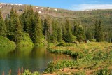 7061 stillwater camp.jpg