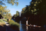 River Avon, Christchurch