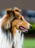Pretty Lady!
