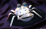 Silver crab by Darrell Jumbo